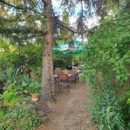 La Vida Tapas Balatonalmádi - Egyéb