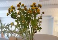 La Vie En Rose Coffee & Lifestyle Veresegyház