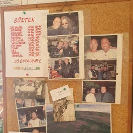 Lacco Hentesbolt, Diósd - Belső