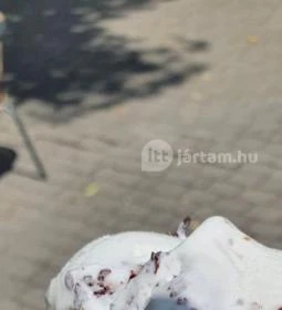 Lacus Pelso Pizzéria & Söröző