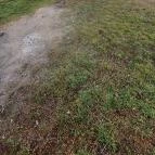 Lajda Kocsma Hajdúszovát - Egyéb