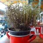 Lakatos Műhely - Belvárosi Piac Budapest - Egyéb