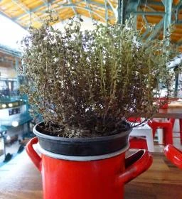 Lakatos Műhely - Belvárosi Piac