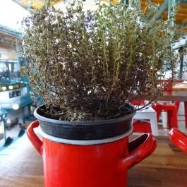 Lakatos Műhely - Belvárosi Piac, Budapest - Egyéb