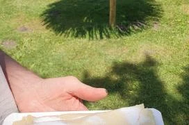 Lángos és más Balatonf?zf?