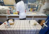 Lángos sütő Budapest