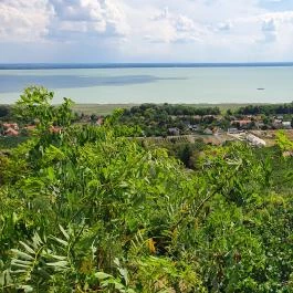 Laposa Borterasz Badacsonytomaj - Egyéb