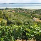 Laposa Borterasz Badacsonytomaj - Egyéb