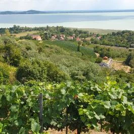 Laposa Borterasz Badacsonytomaj - Egyéb