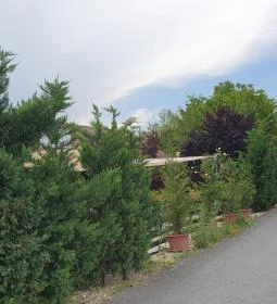 Leckerli Ínyenc Állomás