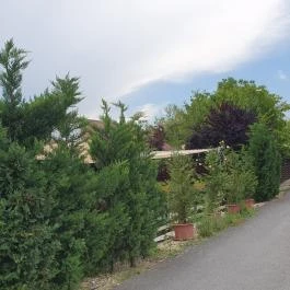 Leckerli Ínyenc Állomás Törökbálint - Egyéb