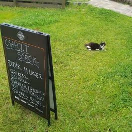 Leckerli Ínyenc Állomás Törökbálint - Egyéb