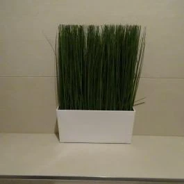 Legelő Salátabár, Budapest - Mosdó