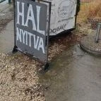 A Legendás Diósdi Halsütő Diósd - Egyéb