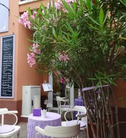 Levendula Kézműves Fagylaltozó