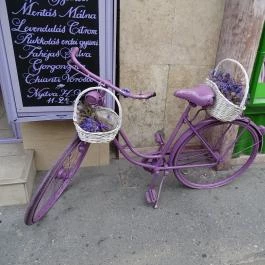 Levendula Kézműves Fagylaltozó - Rákóczi út, Budapest - Egyéb