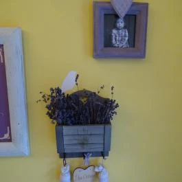 Levendula Kézműves Fagylaltozó - Rákóczi út, Budapest - Egyéb