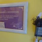 Levendula Kézműves Fagylaltozó - Rákóczi út Budapest - Egyéb