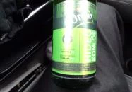 Levin Bisztró Martonvásár