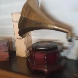 Liliomfi Étterem Szolnok - Belső