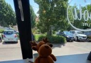 Lipóti Pékség Budakalász