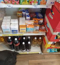 Lipóti pékség
