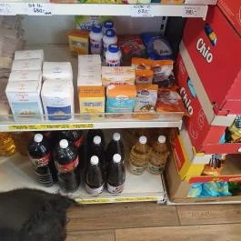 Lipóti pékség, Tatabánya - Étel/ital