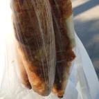 Lipóti Pékség - Csapó utca Debrecen - Egyéb