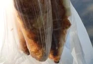 Lipóti Pékség - Csapó utca Debrecen