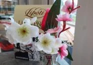 Lipóti pékség, Tata Tata