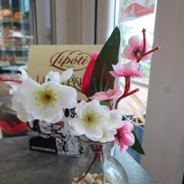 Lipóti pékség, Tata Tata - Egyéb