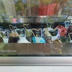 Liza Kuckó és Kávézó Göd - Egyéb