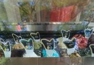 Liza Kuckó és Kávézó Göd