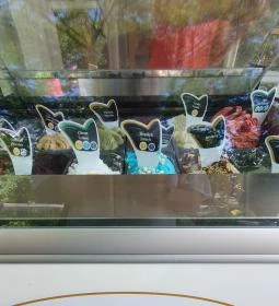 Liza Kuckó és Kávézó