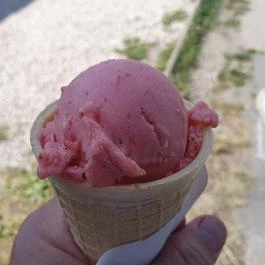 Liza Kuckó és Kávézó Göd - Egyéb