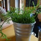 Lokalista Bistro Miskolc - Egyéb