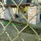 Lópofa Csárda Kiskunmajsa - Egyéb