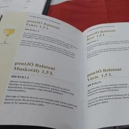 Lorena Étterem, Hajdúszoboszló - Egyéb