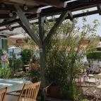 Lovas Kikötő Lovas - Egyéb