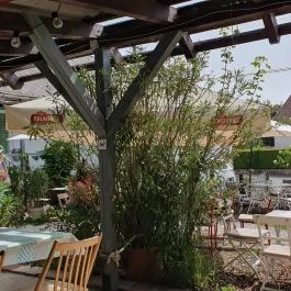 Lovas Kikötő Lovas - Egyéb