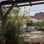 Lovas Kikötő Lovas - Egyéb