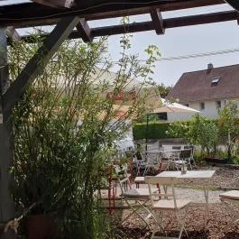 Lovas Kikötő Lovas - Egyéb