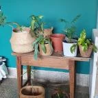 Lovas Kikötő Lovas - Egyéb