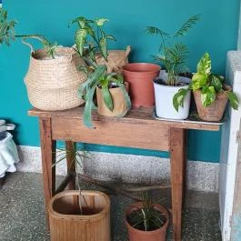 Lovas Kikötő Lovas - Egyéb