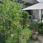 Lovas Kikötő Lovas - Egyéb