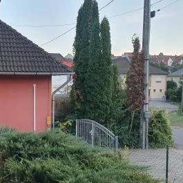 Lucia Haus, Eger - Egyéb