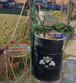 Lusta Páva Borbár és Pince