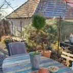 Lusta Páva Borbár és Pince Monor - Egyéb