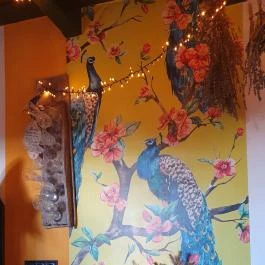 Lusta Páva Borbár és Pince Monor - Egyéb