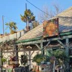 Lusta Páva Borbár és Pince Monor - Egyéb